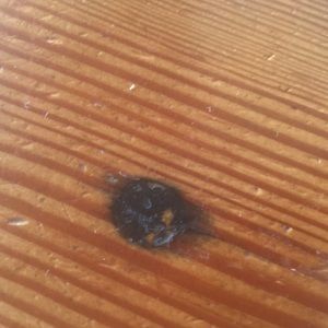 Meet your Posher, Tyler